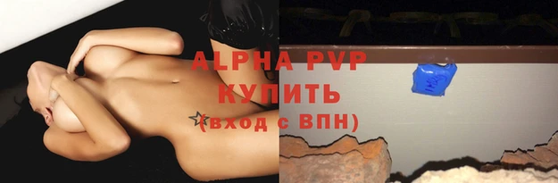 гашик Белокуриха