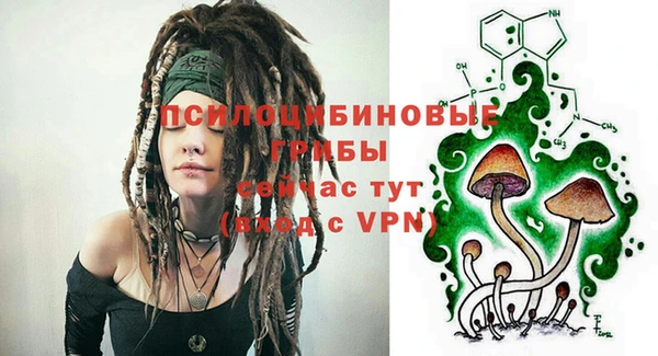 гашик Белокуриха