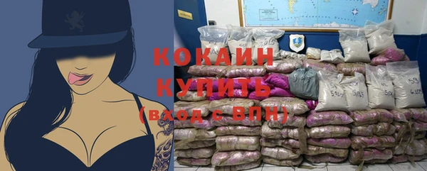 гашик Белокуриха