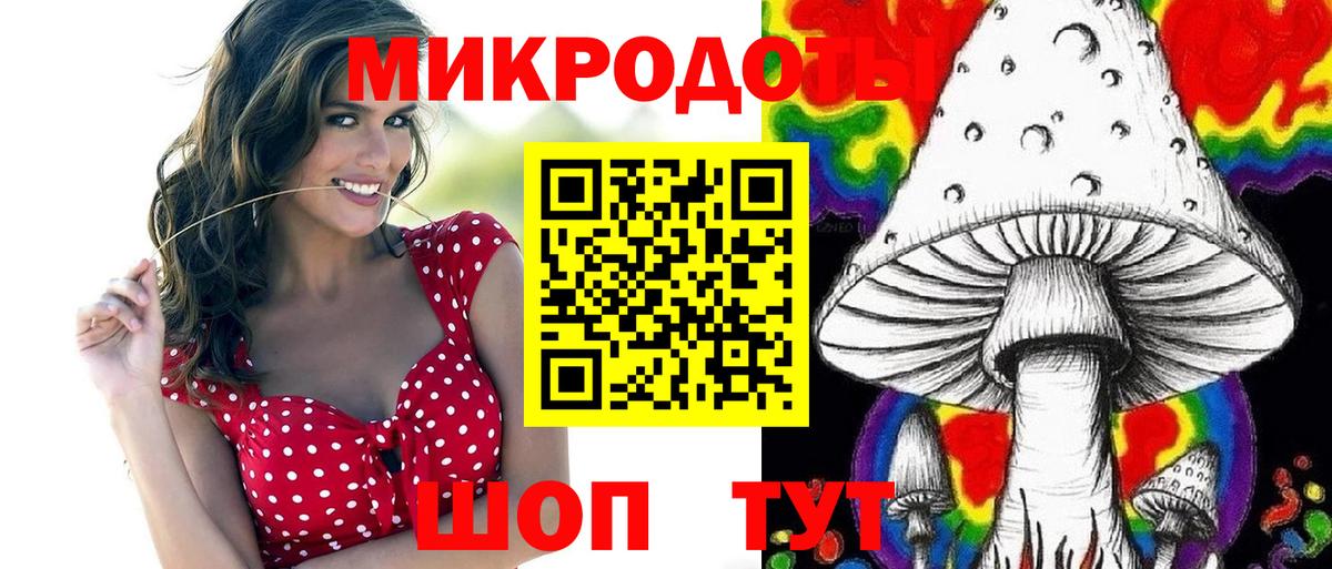 Галлюциногенные грибы Psilocybine cubensis  Галлюциногенные грибы прущие грибы  Дагестанские Огни  Вход с VPN 