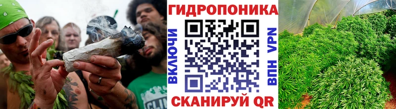 Бошки марихуана SATIVA & INDICA  Дагестанские Огни 