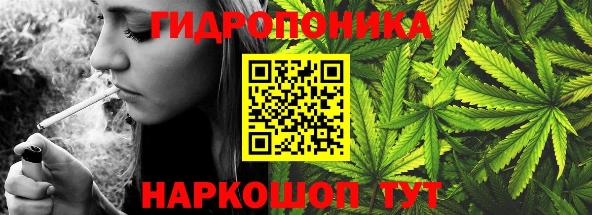Конопля LSD WEED  Вход с VPN  Канабис Ganja  Марихуана семена  Дагестанские Огни  Каннабис гибрид 